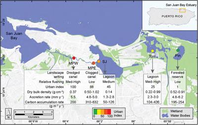 Recent Nitrogen Storage and Accumulation Rates in Mangrove Soils Exceed Historic Rates in the Urbanized San Juan Bay Estuary (Puerto Rico, United States)